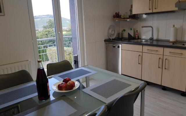 Apartments Metzingen Panoramablick