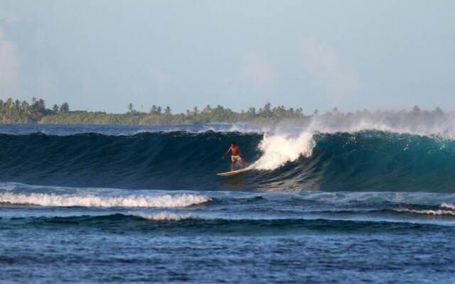 Serene Blue Bowls Surf Inn