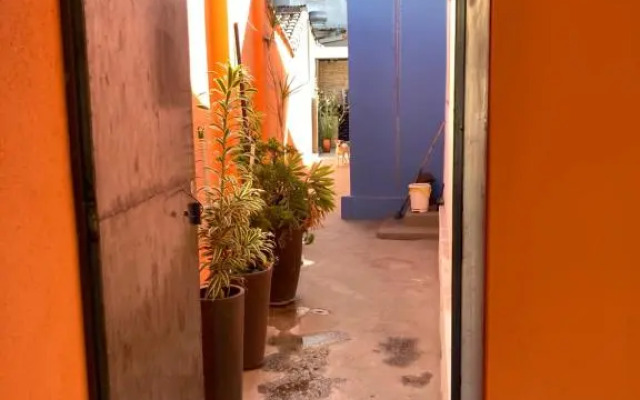 Hostel Miscelânea