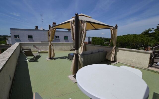 Penthouse & Eagle Eye Attic Combo