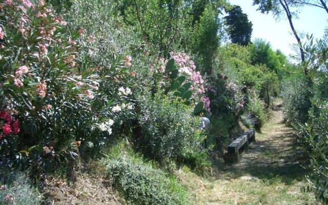 Gli Oleandri