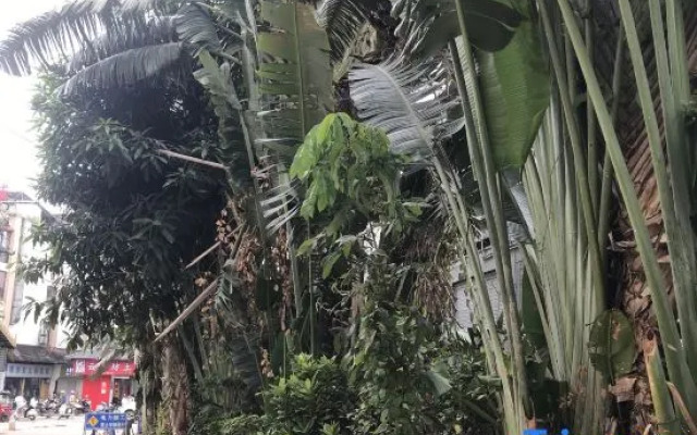 Xishuangbanna Jinghong Weihong Grand Hotel (Airport)