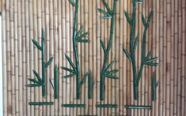 TamCoc Green field Hostel