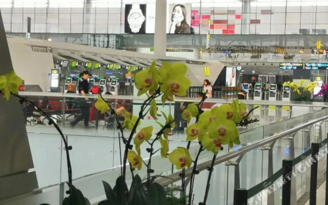 City Star (Guangzhou Baiyun International Airport)