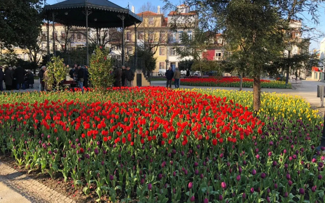 GuestReady - Visconde Mezzanine