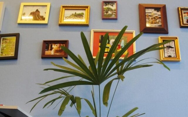 A Little Bird 2 Guesthouse