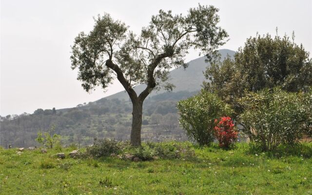 Villa In Sperlonga With Green External Space For 4 Persons