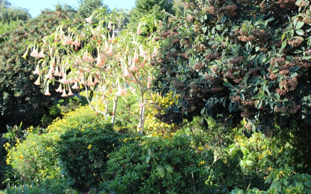 Casa dos Três Rapazes