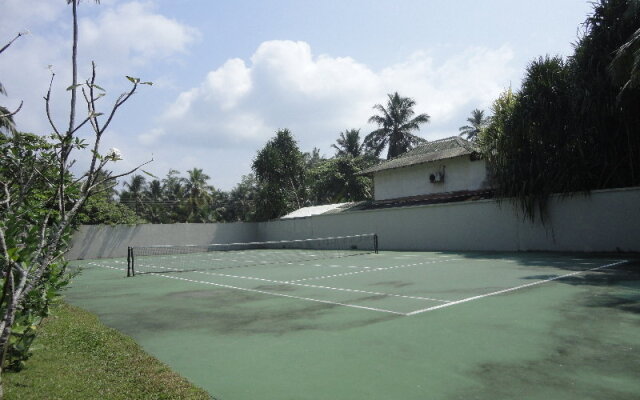 The Frangipani Tree by Edwards Collection