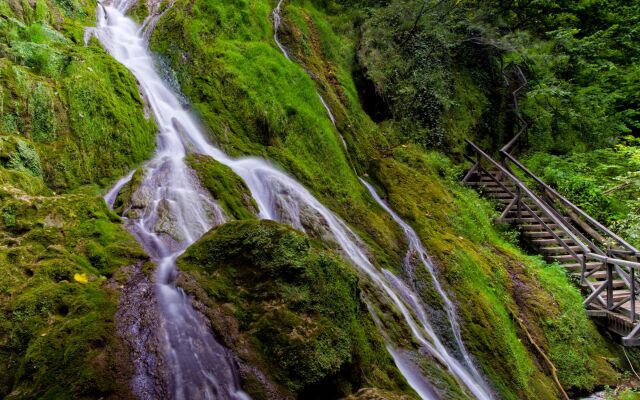 Rural Homestead Trenkovo