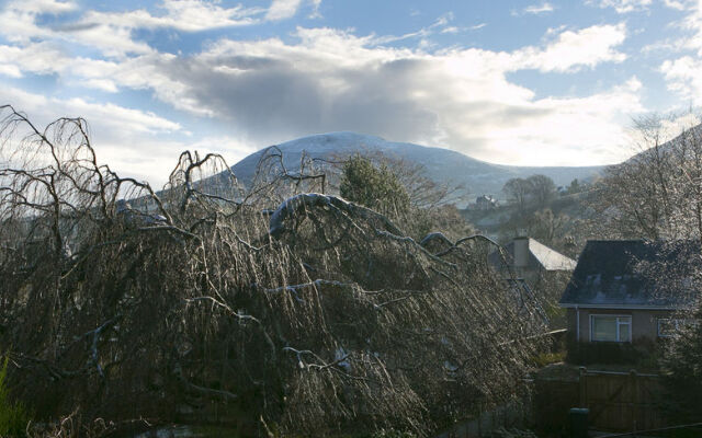 Eildonside