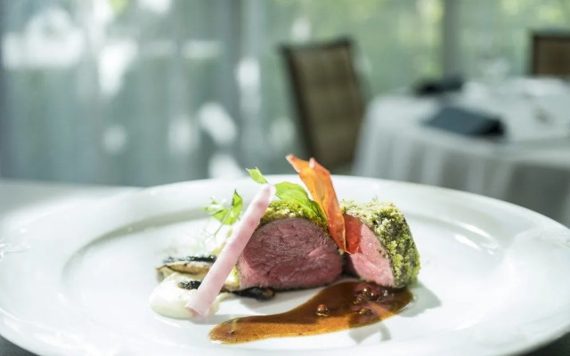 Spa Resort Tree of Life