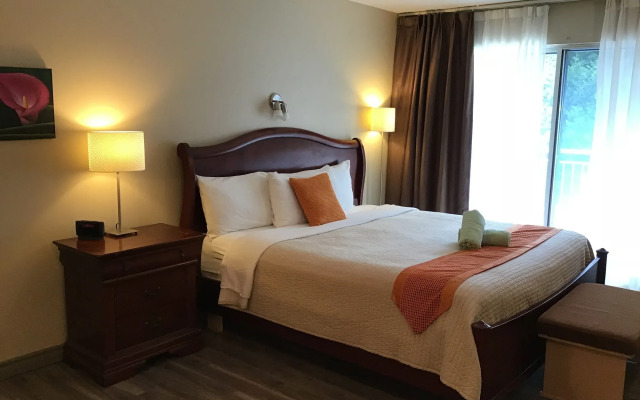 Hôtel Spa Excelsior