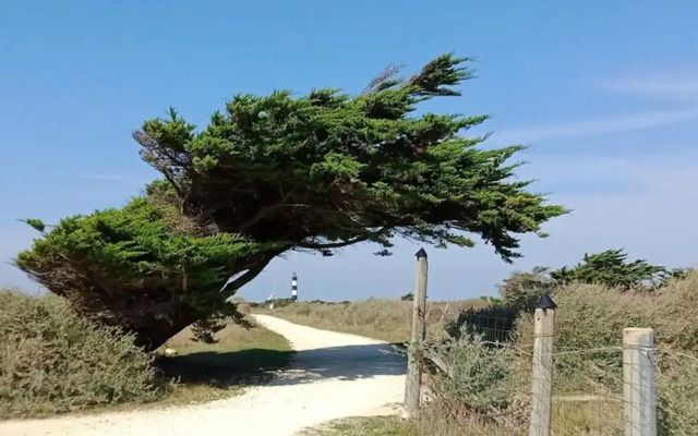 Apartment on Ile D'oleron Near Beach