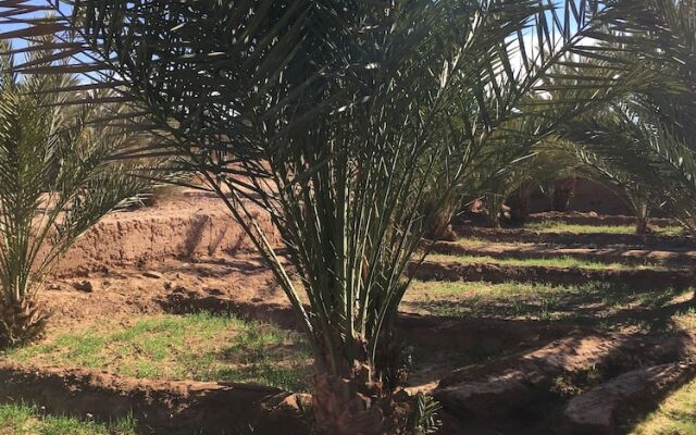 Auberge la Palmeraie