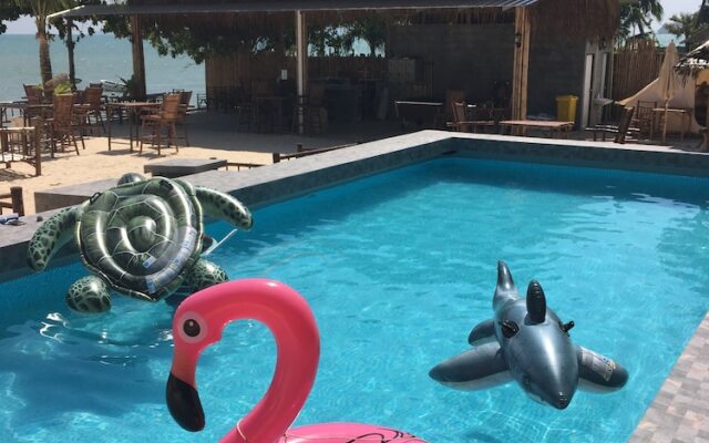 Sea Safari
