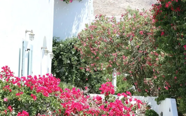 Spiros & Hiroko Hotel - Adults Only