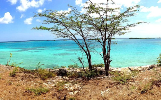 Arubahome