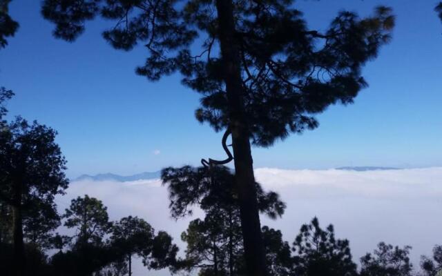 Green garden homestay
