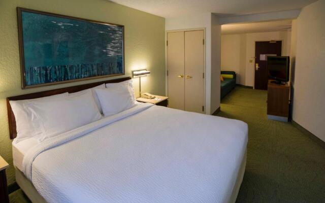 Springhill Suites By Marriott Bolingbrook