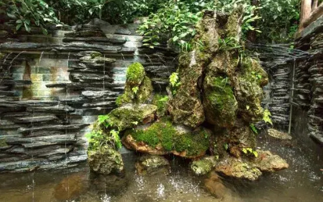 Qingcheng Mountain Tingcicada·Hot Spring B&B