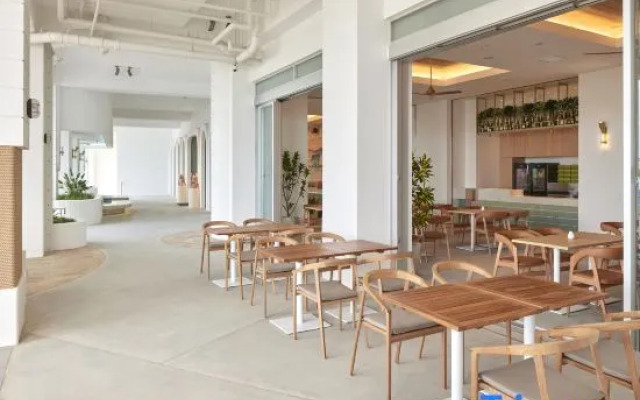 The Senagajima Storyline