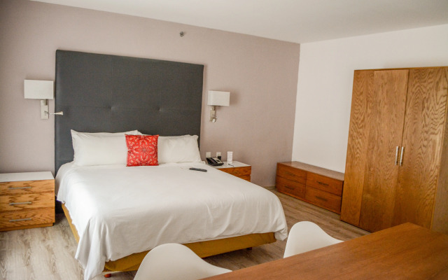 Stain Loft & Suites