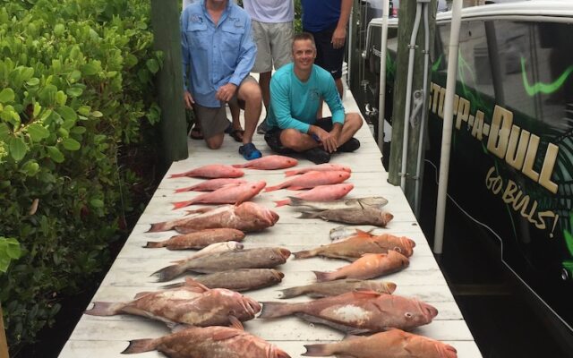 Seatuit Condominiums