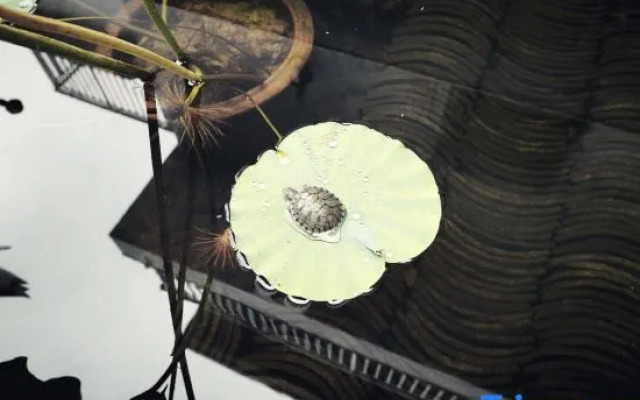 Xiangbala Meishe · Puyuan Homestay