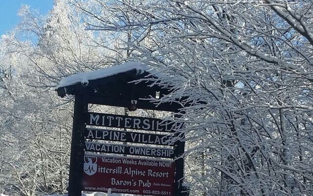 Mittersill Alpine Resort