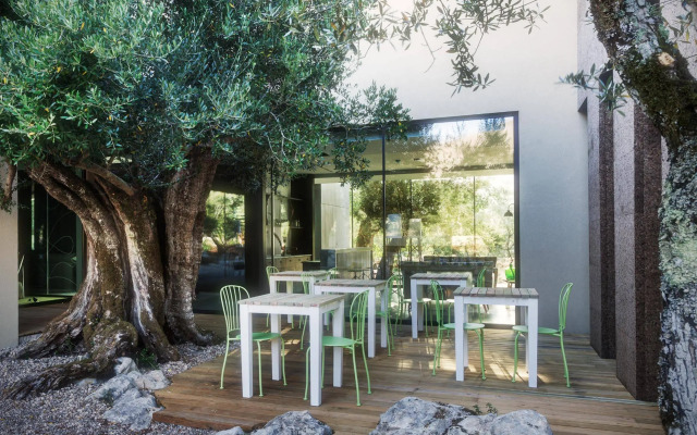 Cooking and Nature Emotional Hotel