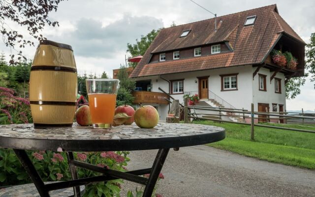 Quaint Farmhouse in Oberharmersbach With Barbecue