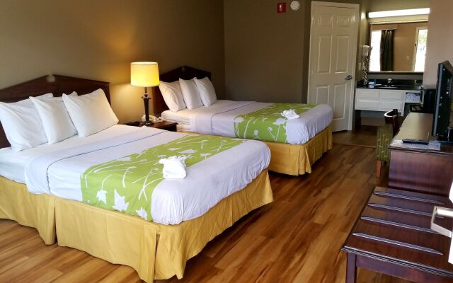 Red Roof Inn & Suites Wilson