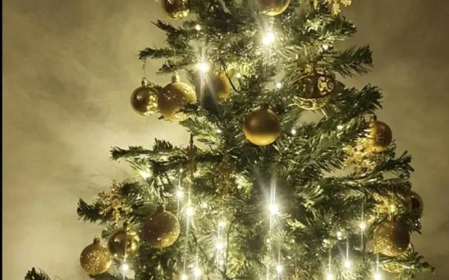 Apartment Sanctus Nicolaus