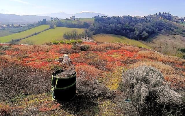 La Tana Dei Leoni B&B