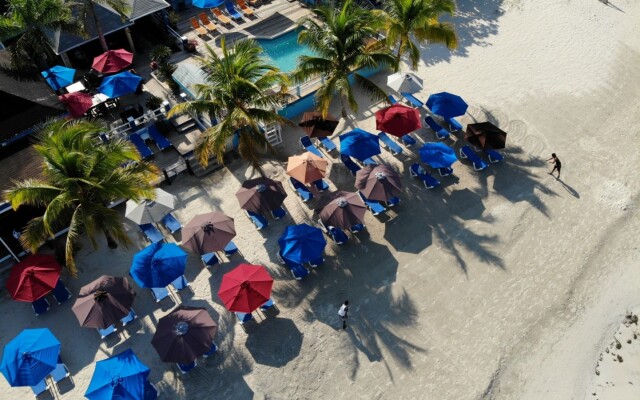 Negril Palms