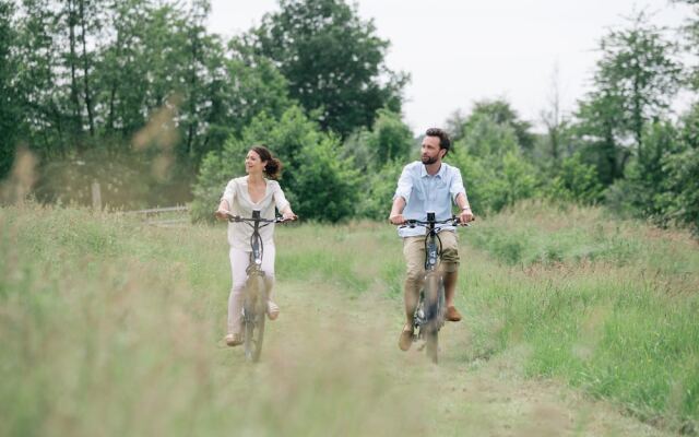 Les Aires en Scènes