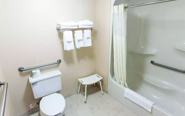 Quality Inn & Suites Big Rapids near University