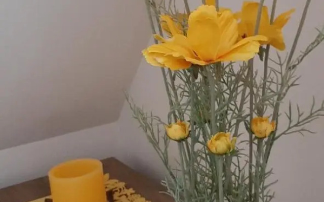 Napkő Apartman