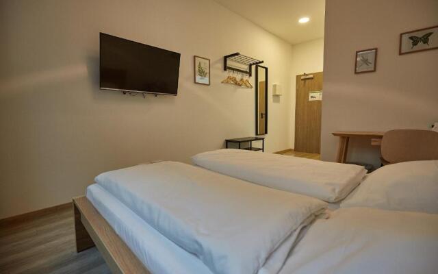 Central Studio Apartments