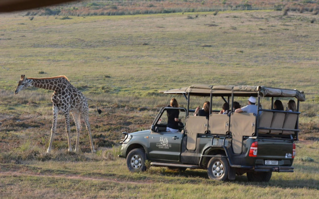 Garden Route Game Lodge