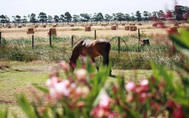 Herdade dos Salgados do Fialho