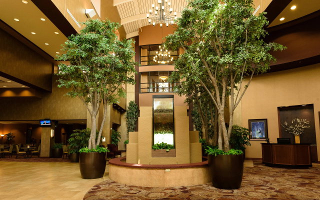 Embassy Suites by Hilton Minneapolis North