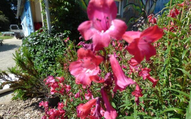 Chambres Dhotes Au Pied Leve