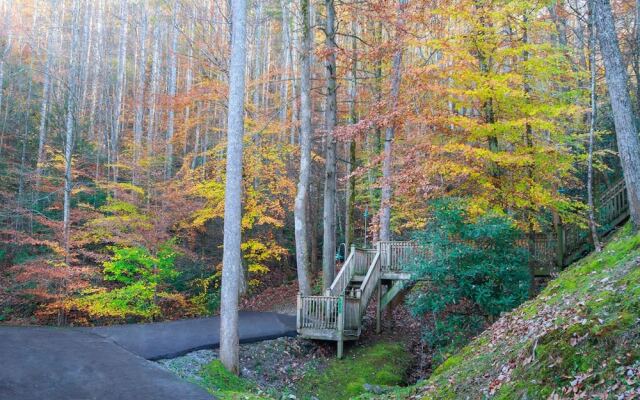 Away From it All - Three Bedroom Cabin