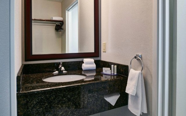 Fairfield Inn & Suites by Marriott Detroit Livonia