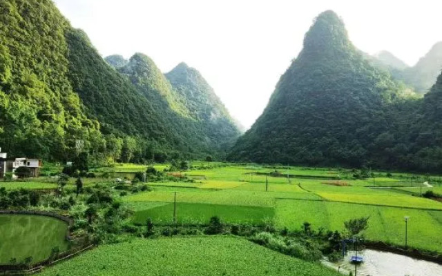 LiBoMaoLan Shuimufeng Inn