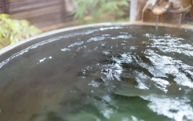 Yufuin Ryokan Ichizen