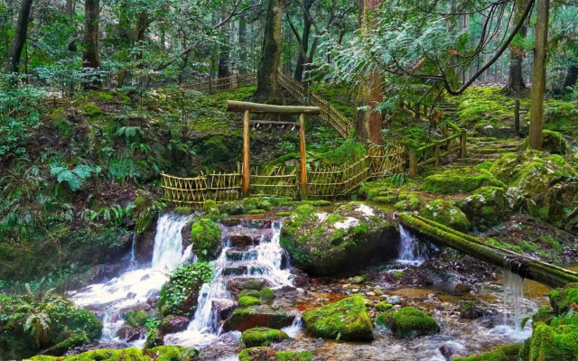 Toyoko Inn Tsuruga Ekimae