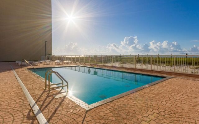 Tropical Winds by Hosteeva